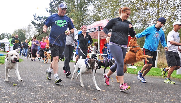 The field of shoes and paws takes off for the Rover Romp 3K and 5K fun walk/run at Roegner Park on Saturday.