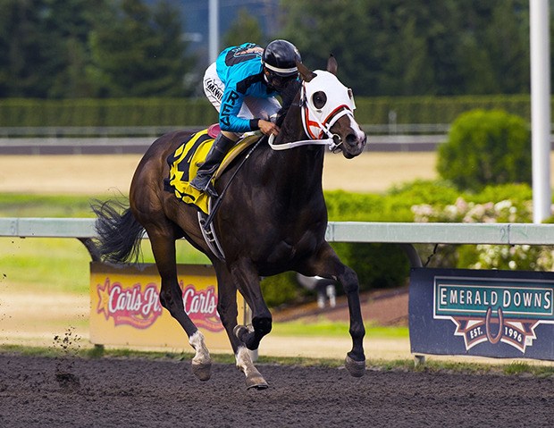 R.E.V. Racing's Trackattacker sets a stakes record of 1:08.31 while winning the $50