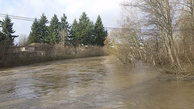 The Green River reached a Phase 3 flood alert level early Wednesday with moderate flooding possible in rural areas upstream of Auburn.