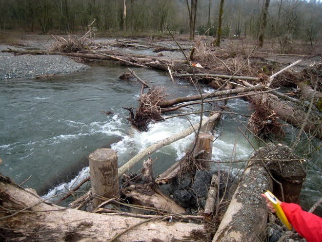 Dangerous log-jam conditions have forced the closure of a four-mile section of the Cedar River.