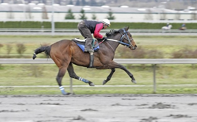 Emerald Downs begins its 82-day meet Friday