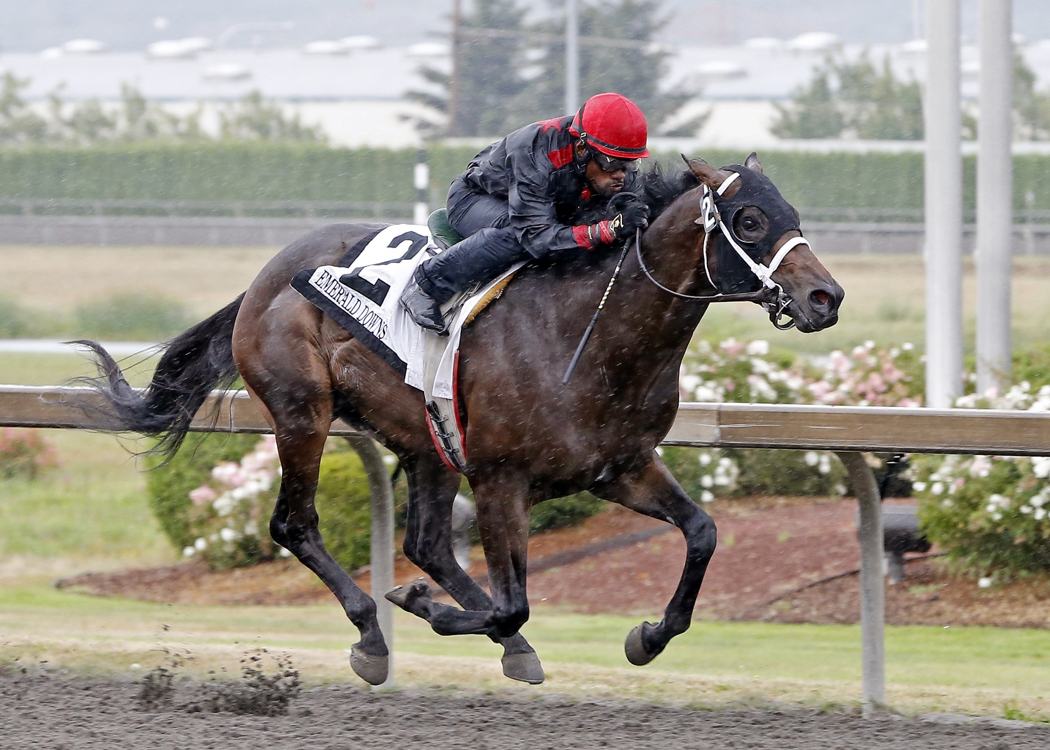 So Lucky and Rocco Bowen race to a 1:08.50 clocking in the $50