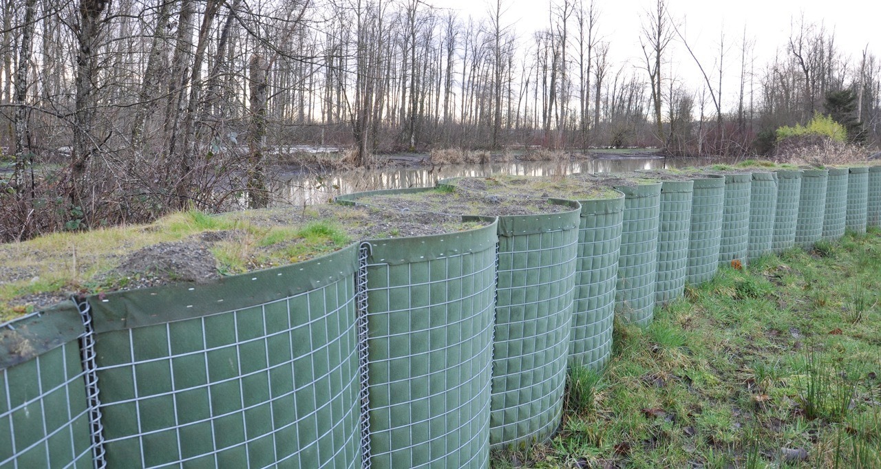 A HESCO barrier lines the White River at Pacific Park last winter. King County is scheduled to begin work Monday to close the gaps in the temporary barrier at the park that provides increased flood protection to Pacific. RACHEL CIAMPI