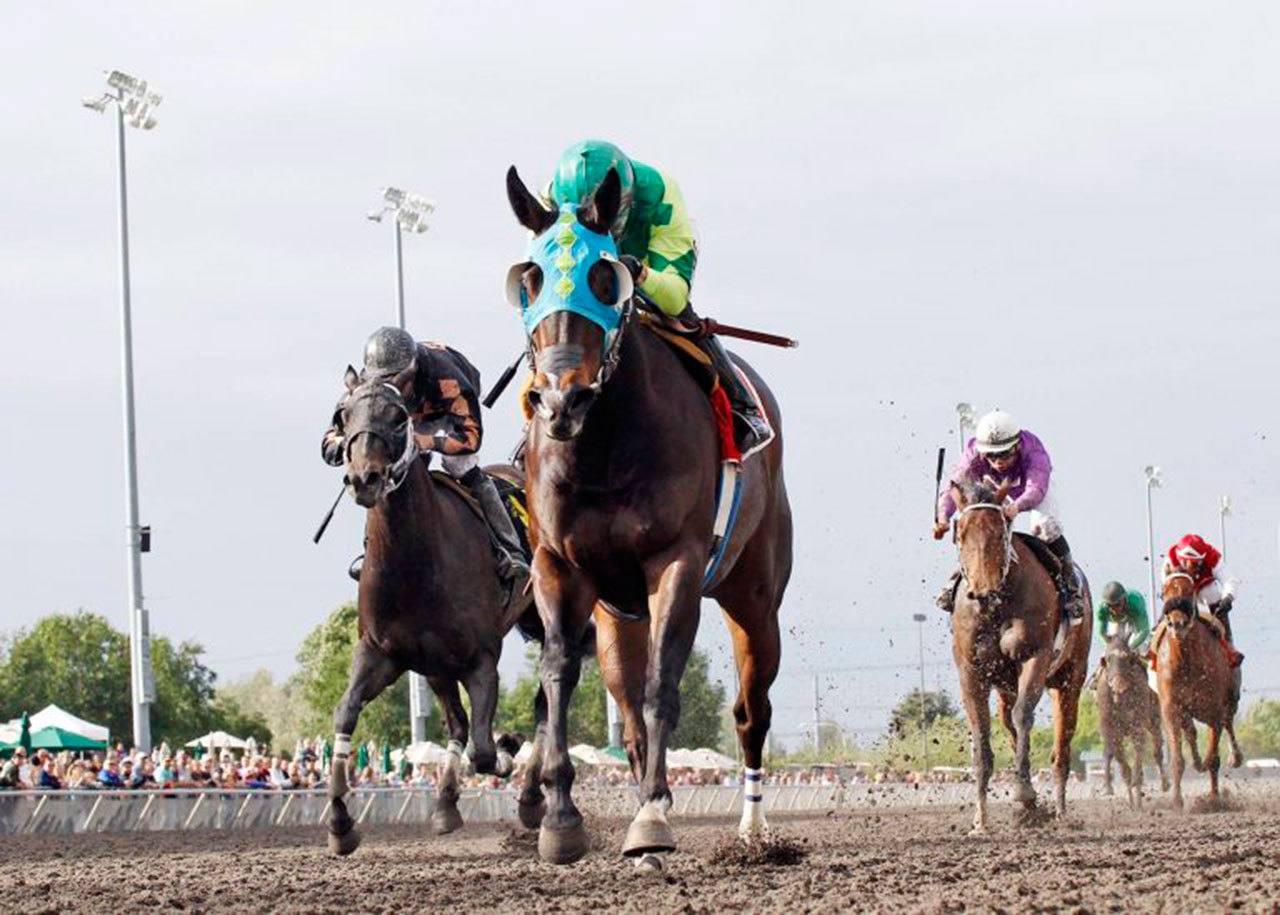 The Seattle Stakes, won by Invested Prospect in 2016, begins stakes action on May 7 at Emerald Downs. COURTESY PHOTO, EmDowns