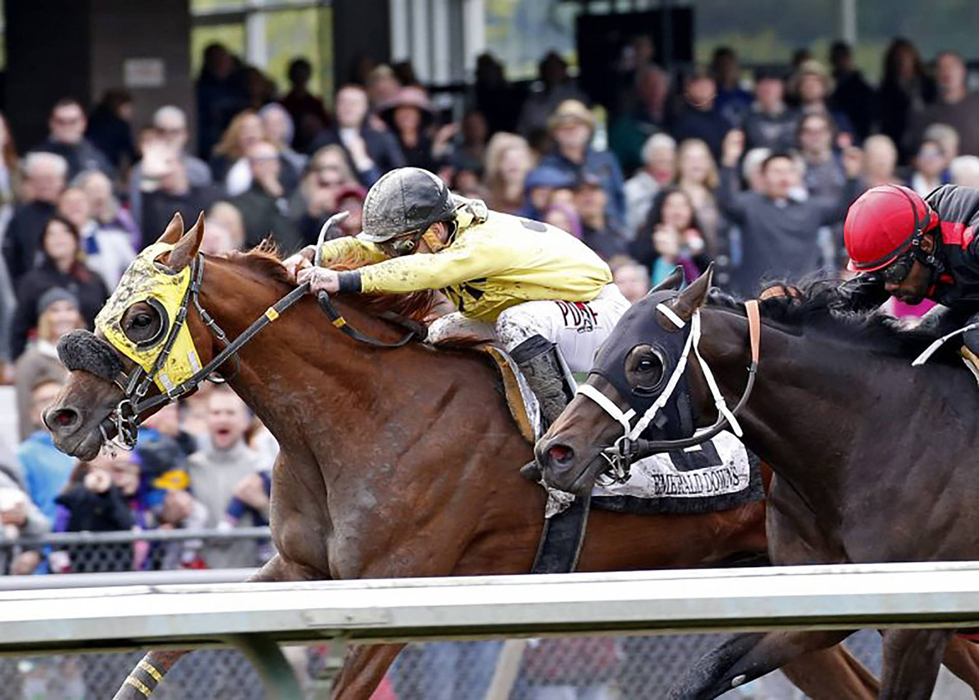 Sharkzilla, with Erick Lopez up, rallied to capture the $50,000 Auburn Stakes for 3-year-old colts and geldings at Emerald Downs on Sunday. COURTESY PHOTO