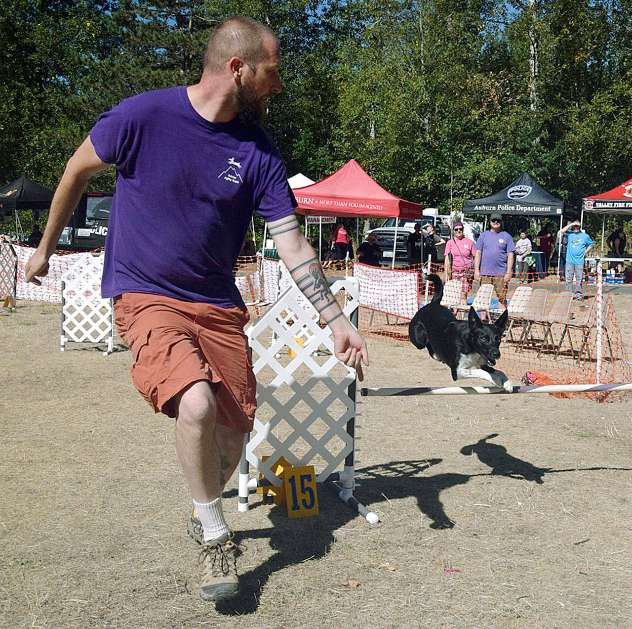 Eric Sanford encourages his dog, Jet, through an agility trail during Barkfest & Rover Romp festivities last Saturday at Roegner Park. RACHEL CIAMPI, Auburn Reporter