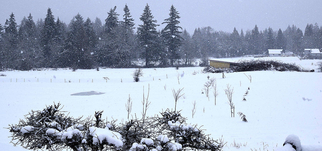 Snow has turned to rain as Auburn recovers from a series of storms this week. RACHEL CIAMPI, Auburn Reporter