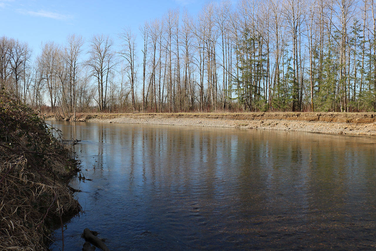 The Green River runs through the Kent valley and hasn’t experienced major flooding since the Howard Hanson Dam was built in the 1960s. However, in 2009, the dam was found to not provide as much protection as previously thought, and the county is exploring ways to flood-proof the river. Aaron Kunkler/staff photo