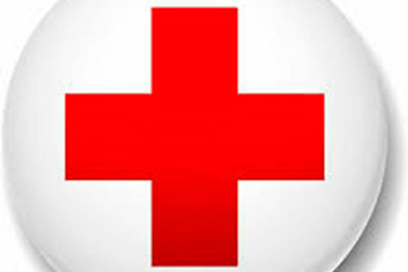 download red cross fire alarm