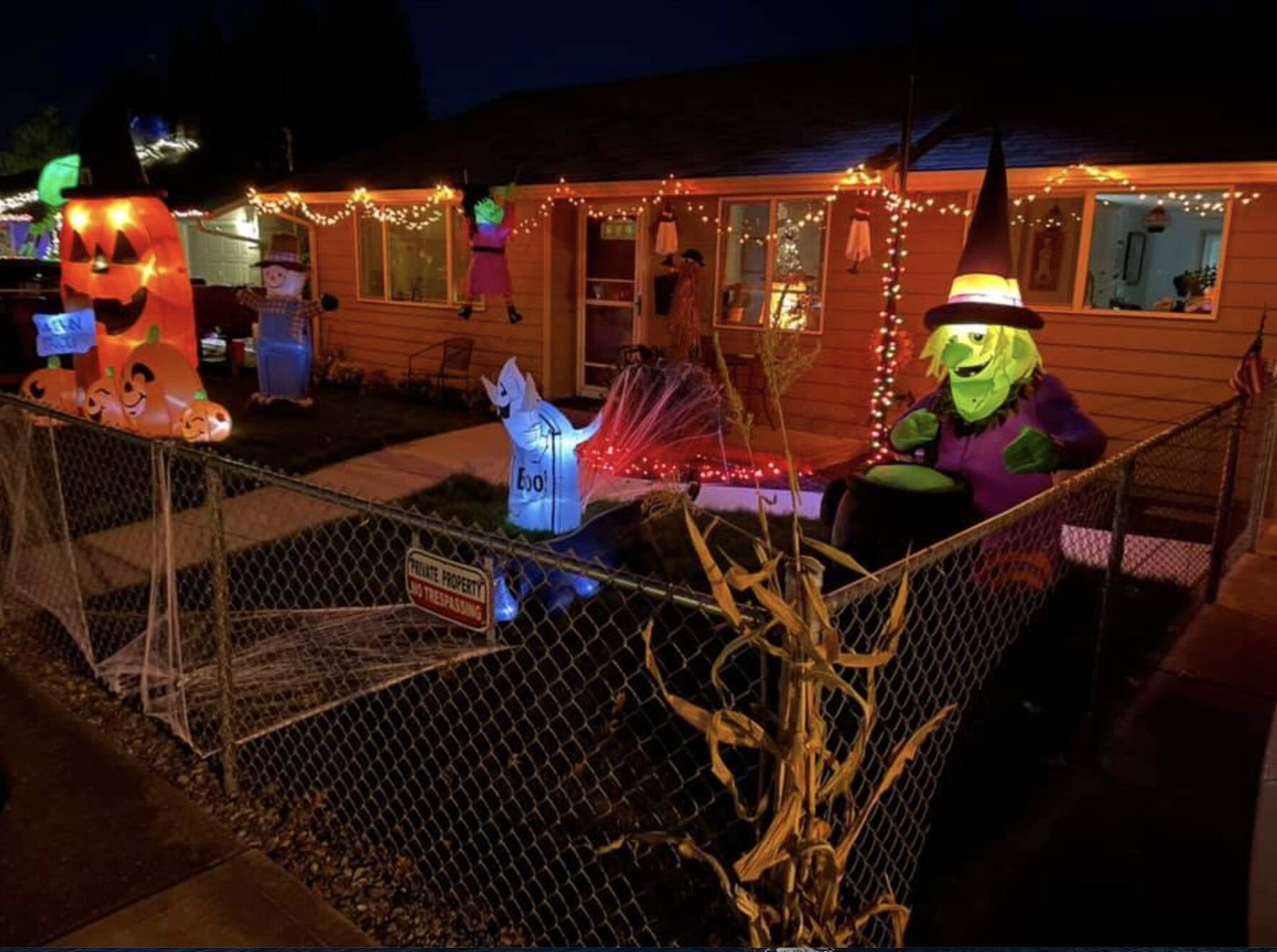 Halloween decorations on display on D Street. Photo courtesy of D Street Lights.