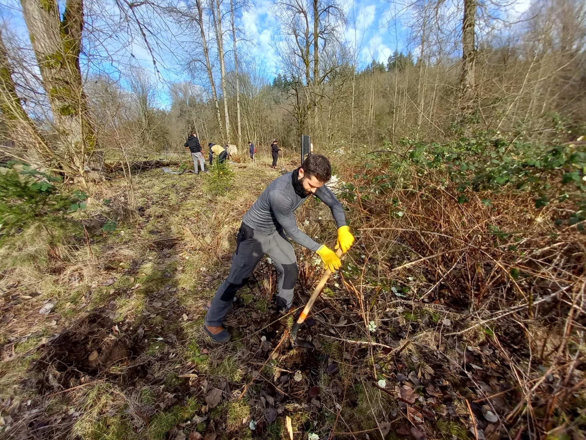 More volunteers needed to plant trees at Fenster Park | Auburn Reporter