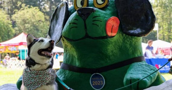 A scene from Auburn’s 2023 Petpalooza at Game Farm Park. The event featured the Dog Trot, photos with “Green Dog,” a petting zoo, contests, kiddie rides, food, beer garden, vendors and more. File photo