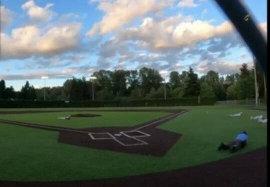 A video shows players on a baseball field in Auburn taking cover amid the sound of gunshots May 19. (Screenshot)