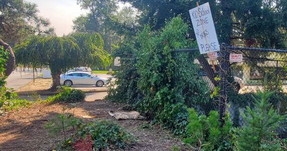 The corner outside the Day Center, 33505 13th Pl. S., as seen in 2023, where a woman had lived in a shelter made from umbrellas. Mirror file photo